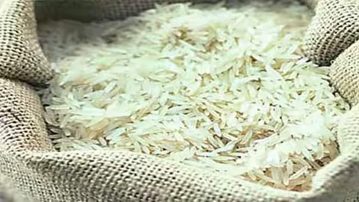 Prices of basmati paddy up 14% on year as arrivals peak