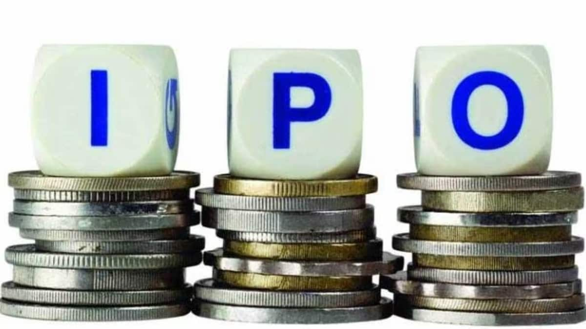 QIB, HNI interest keeps IPO market buzzing