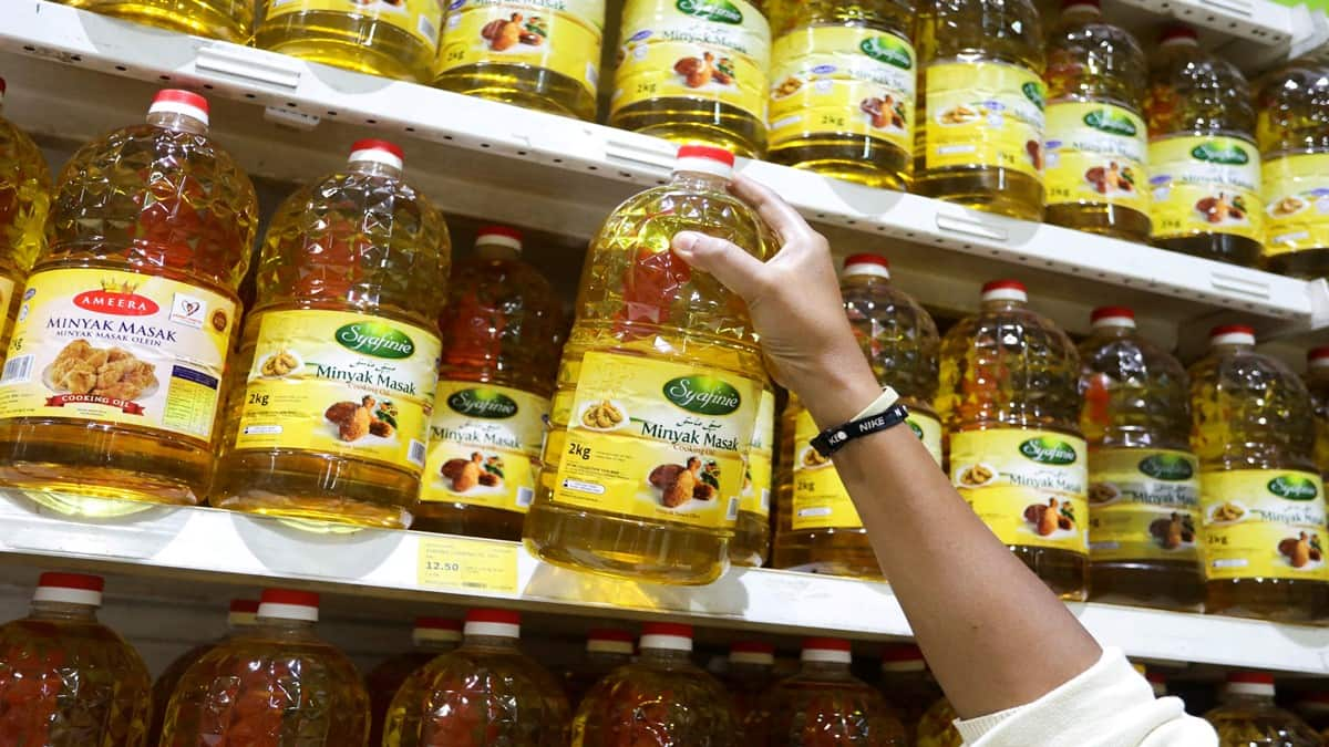 Edible oil imports hit a record 16.5 MT in 2022-23